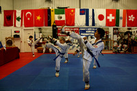 Taekwondo Testing December 2013