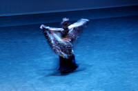 Iowa Dance 2013: Farida of Kahraman